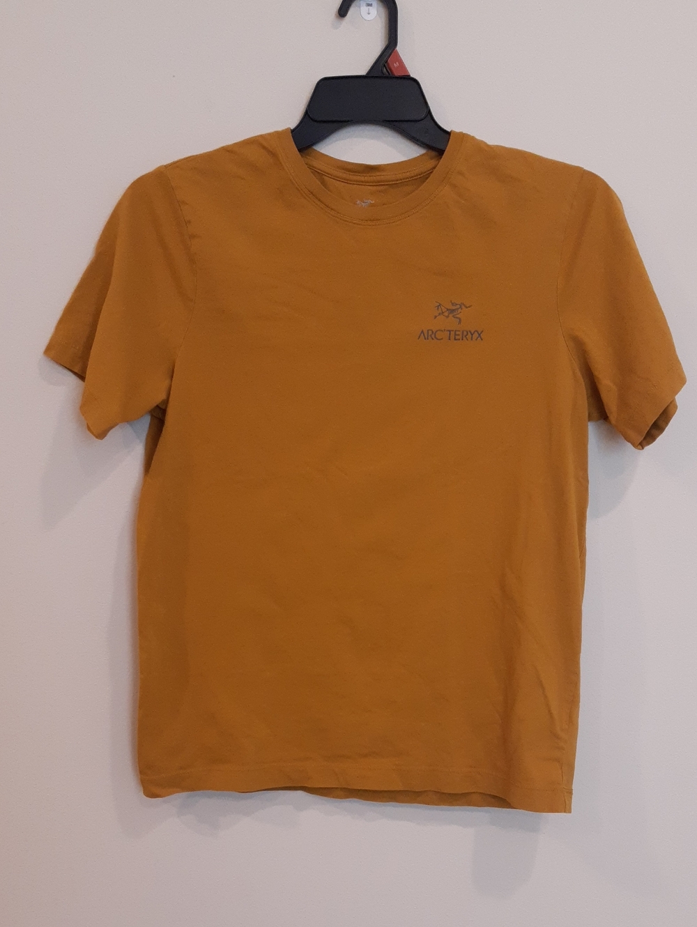 Arc'teryx Men's Short-Sleeve Crew T-Shirt in Inca Gold.